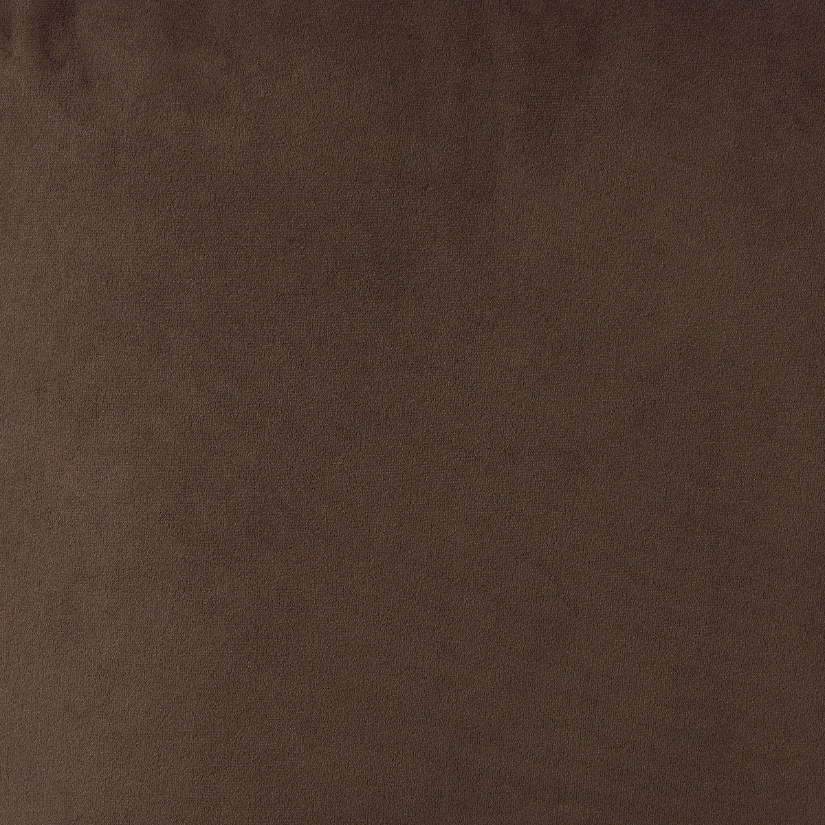 Bondi 2 Seater Sofa - Cappuccino
